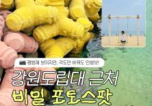 강원도립대학교 근처 비밀 포토스팟 모음