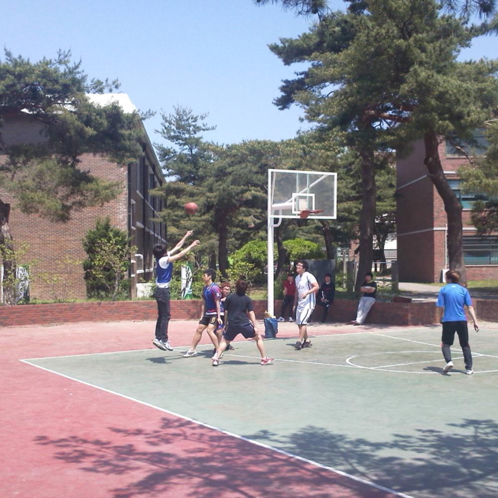 강원도립대학교 소방환경방재과 포토갤러리 - 2011년 6월 신리천마 대축제 상세화면 | 학과홈페이지 > 소방환경방재과 > 학과공지 > 포토갤러리